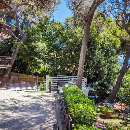 Appartement La Chicca By Interhome Castiglioncello