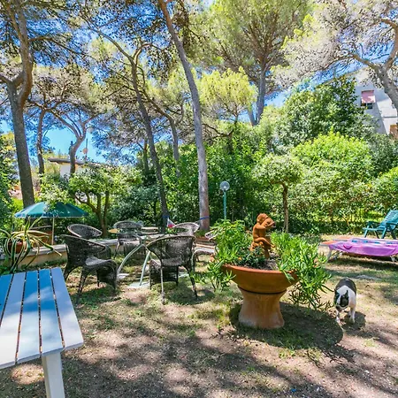 Apartment La Chicca By Interhome