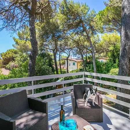 La Chicca By Interhome Apartment Castiglioncello