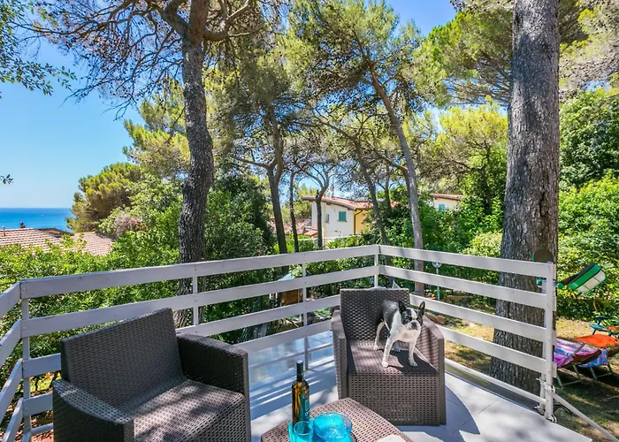 La Chicca By Interhome Apartament Castiglioncello